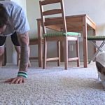 飼い主と一緒にヨガを楽しむチワワが可愛いすぎだと話題！！【動画あり】