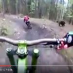 【動画あり】森でサイクリングしていたら野生のヒグマが全力で追いかけてくる動画が話題に
