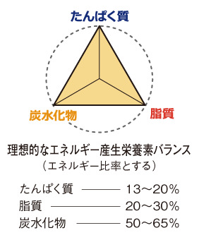 栄養バランス