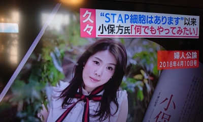 小保方晴子