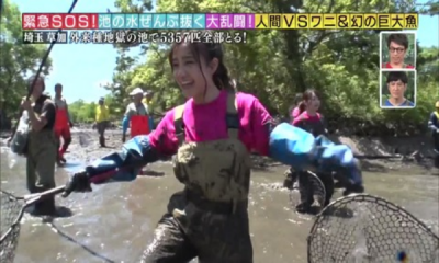 【悲報】『池の水ぜんぶ抜く』に専門家が批判!?酷すぎる実態が暴露される