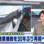 【捕鯨】日本が国際捕鯨委員会（IWC）から脱退を表明。捕鯨の再開に各所で批判の声