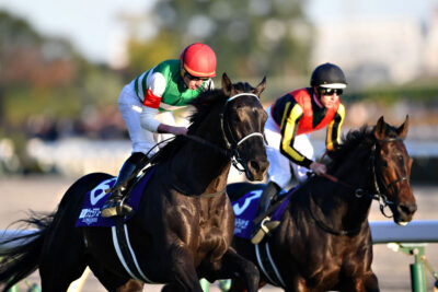 日本競馬がネット馬券売り上げ効果で国際化へ大改革